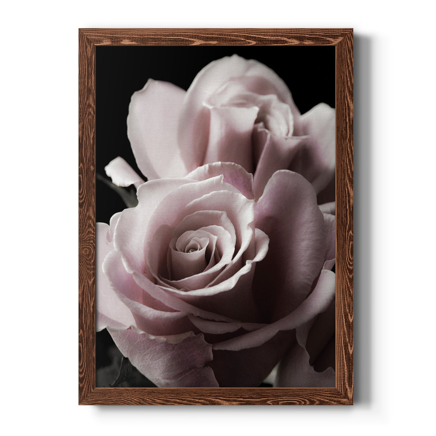 Rose Noir II - Barnwood Framed Canvas Print