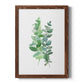 Eucalyptus II - Barnwood Framed Canvas Print