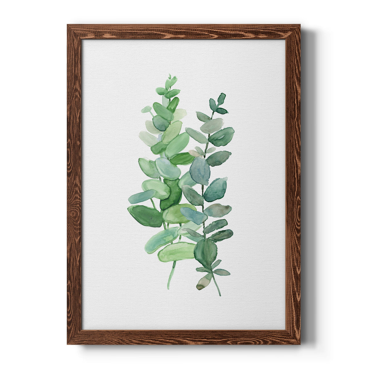Eucalyptus II - Barnwood Framed Canvas Print