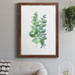 Eucalyptus II - Barnwood Framed Canvas Print