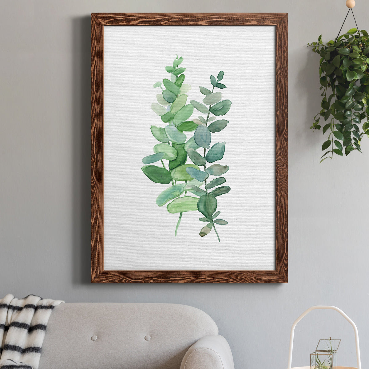 Eucalyptus II - Barnwood Framed Canvas Print