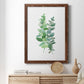 Eucalyptus II - Barnwood Framed Canvas Print