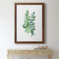 Eucalyptus II - Barnwood Framed Canvas Print