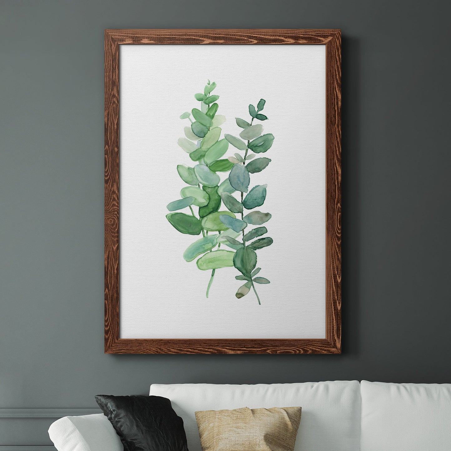 Eucalyptus II - Barnwood Framed Canvas Print