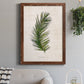 Palm Botanical II - Barnwood Framed Canvas Print