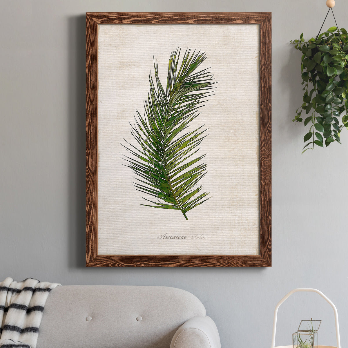Palm Botanical II - Barnwood Framed Canvas Print