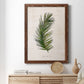 Palm Botanical II - Barnwood Framed Canvas Print