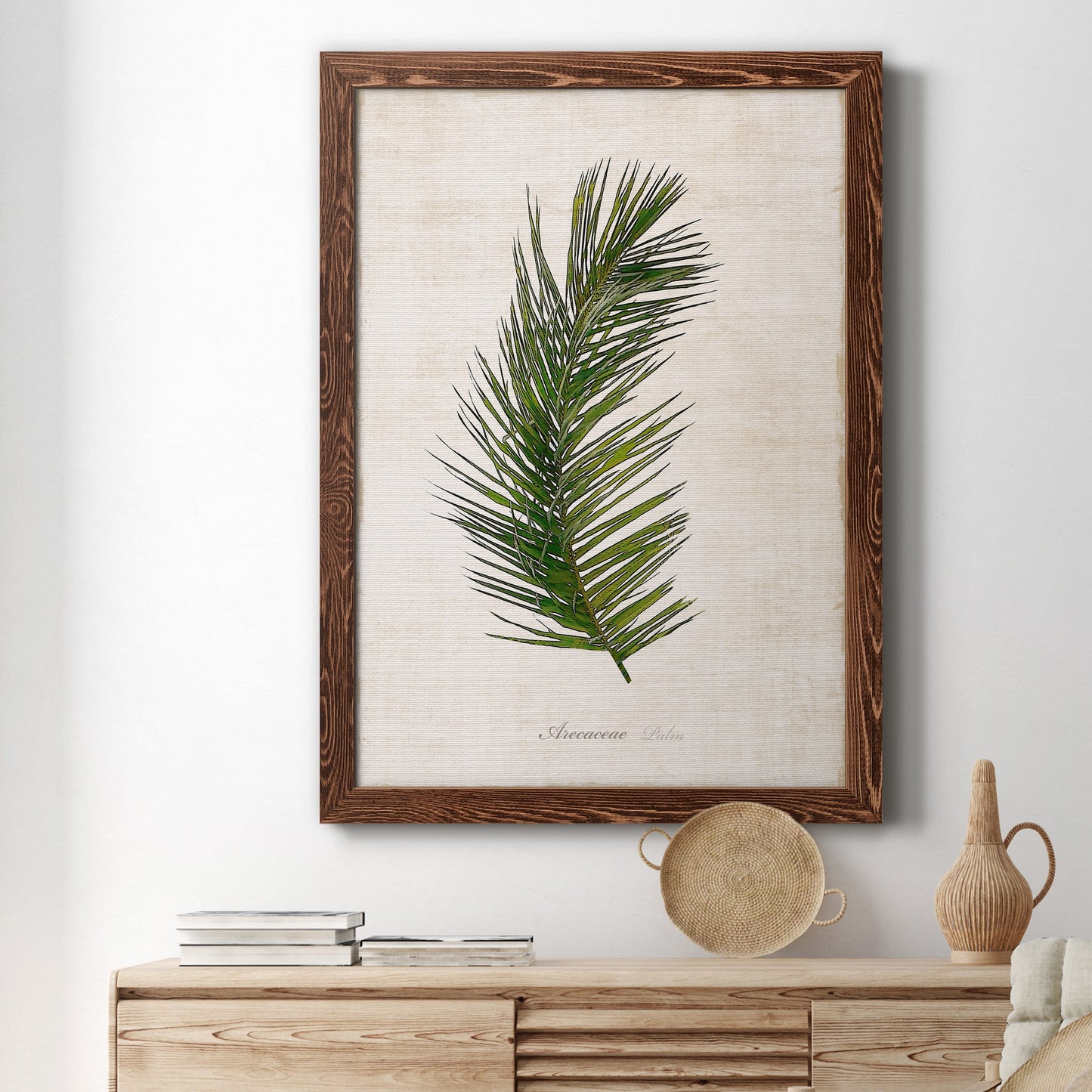 Palm Botanical II - Barnwood Framed Canvas Print