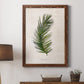 Palm Botanical II - Barnwood Framed Canvas Print
