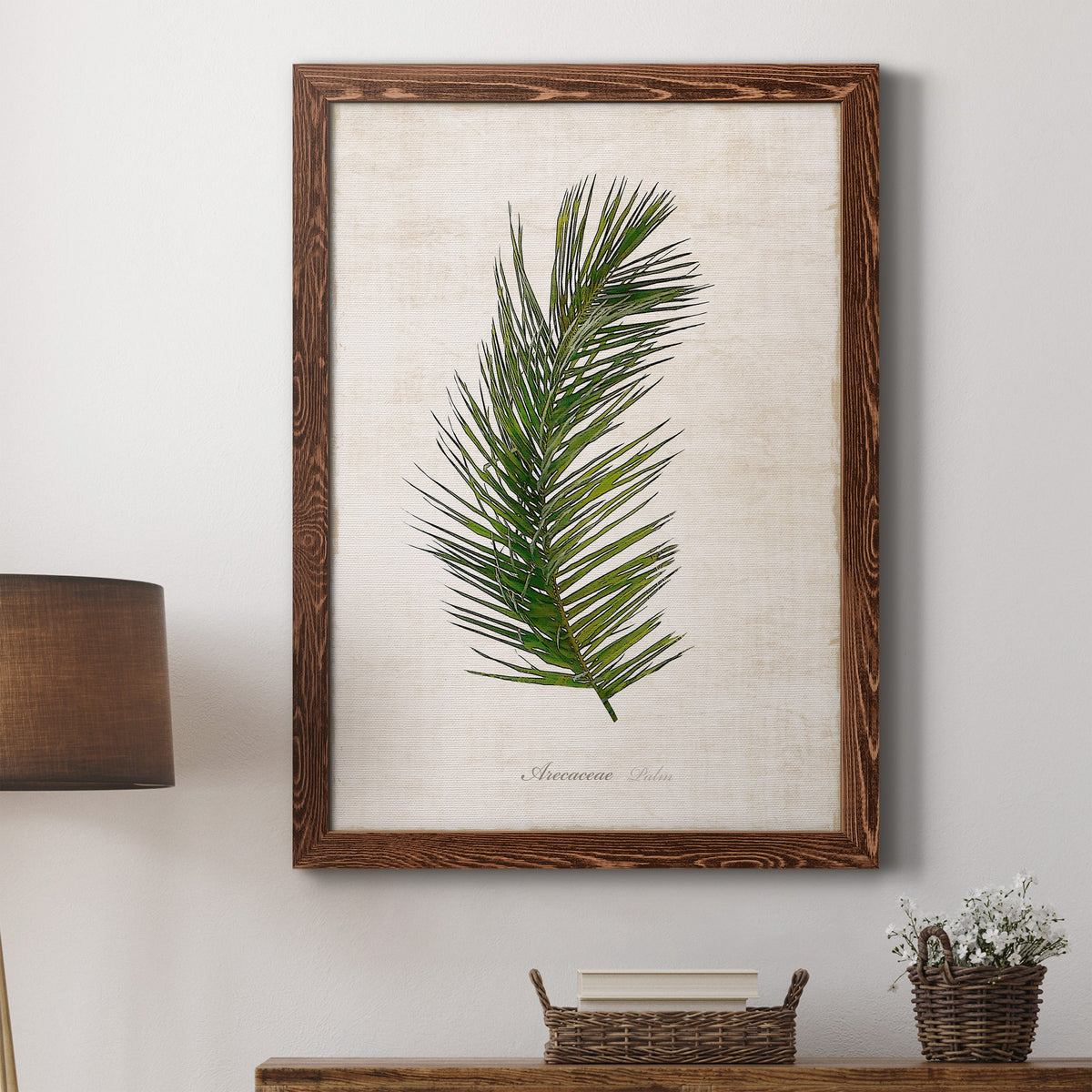 Palm Botanical II - Barnwood Framed Canvas Print