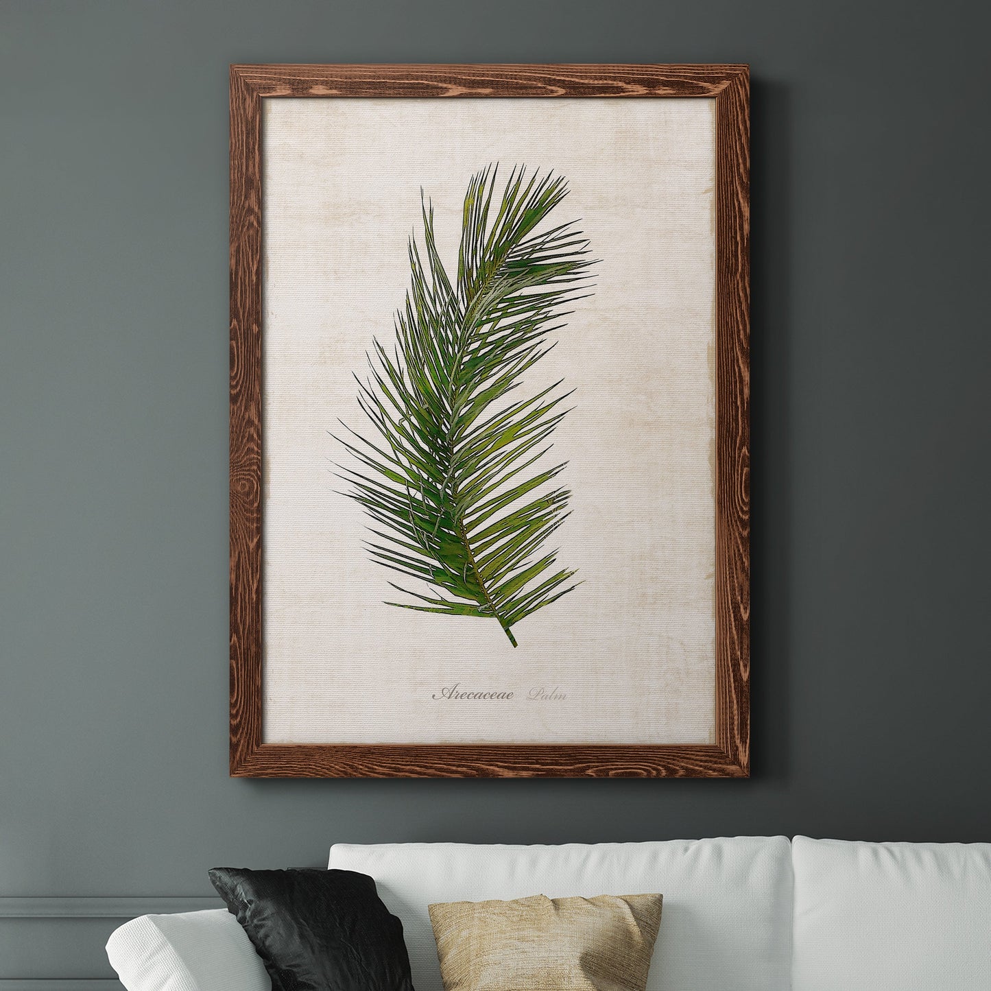 Palm Botanical II - Barnwood Framed Canvas Print
