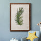 Palm Botanical II - Barnwood Framed Canvas Print