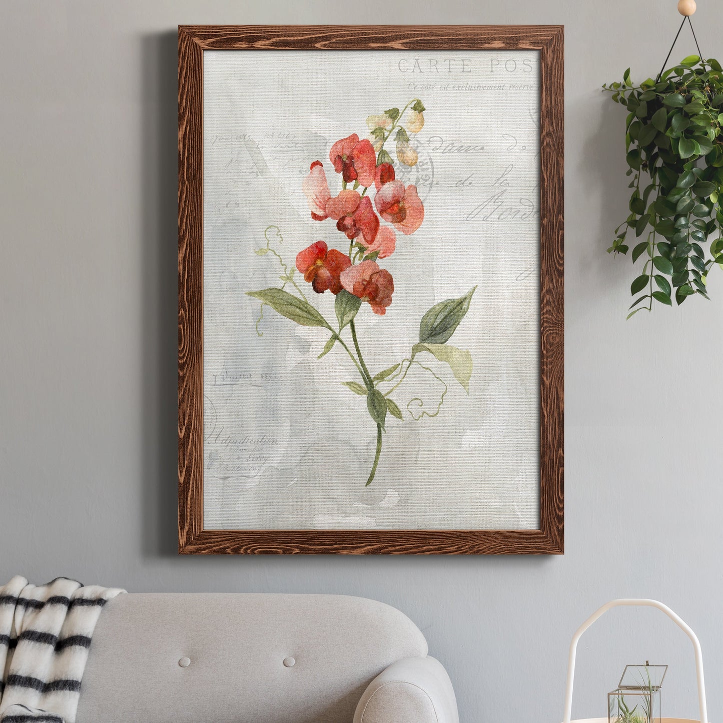 Linen Sweet Pea - Barnwood Framed Canvas Print