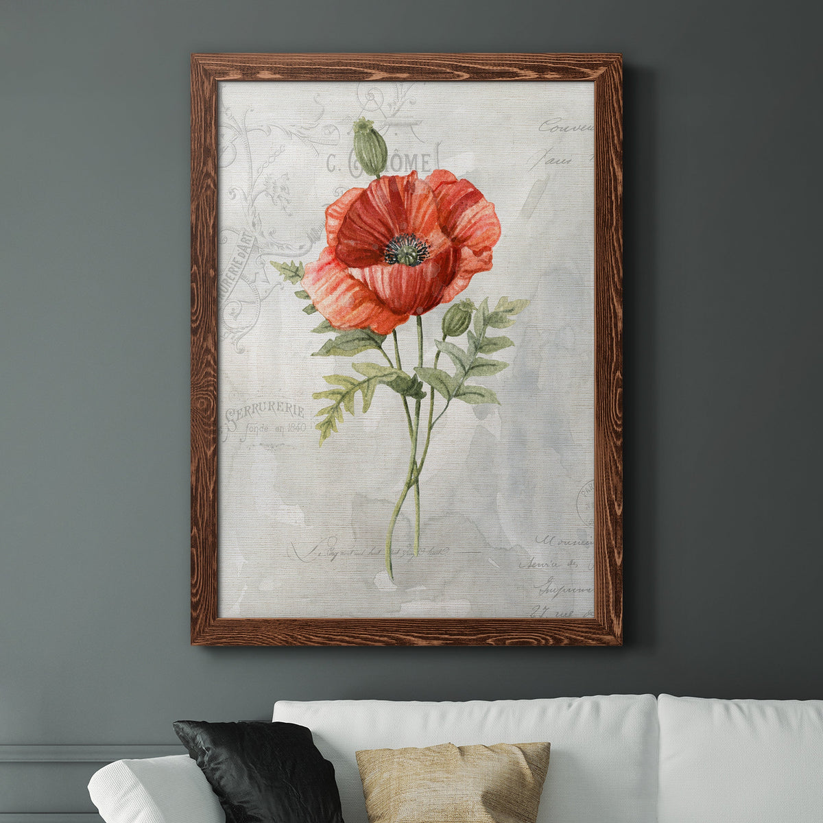 Linen Poppy - Barnwood Framed Canvas Print