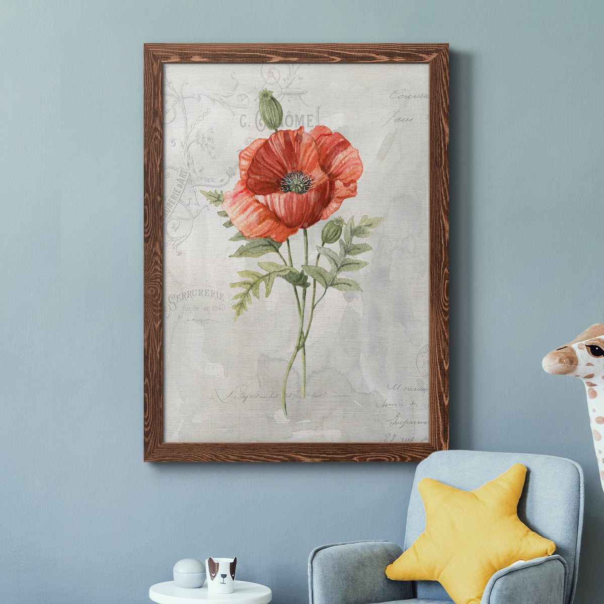 Linen Poppy - Barnwood Framed Canvas Print