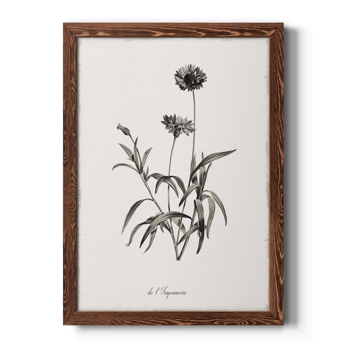 Sketchbook Imperial - Barnwood Framed Canvas Print