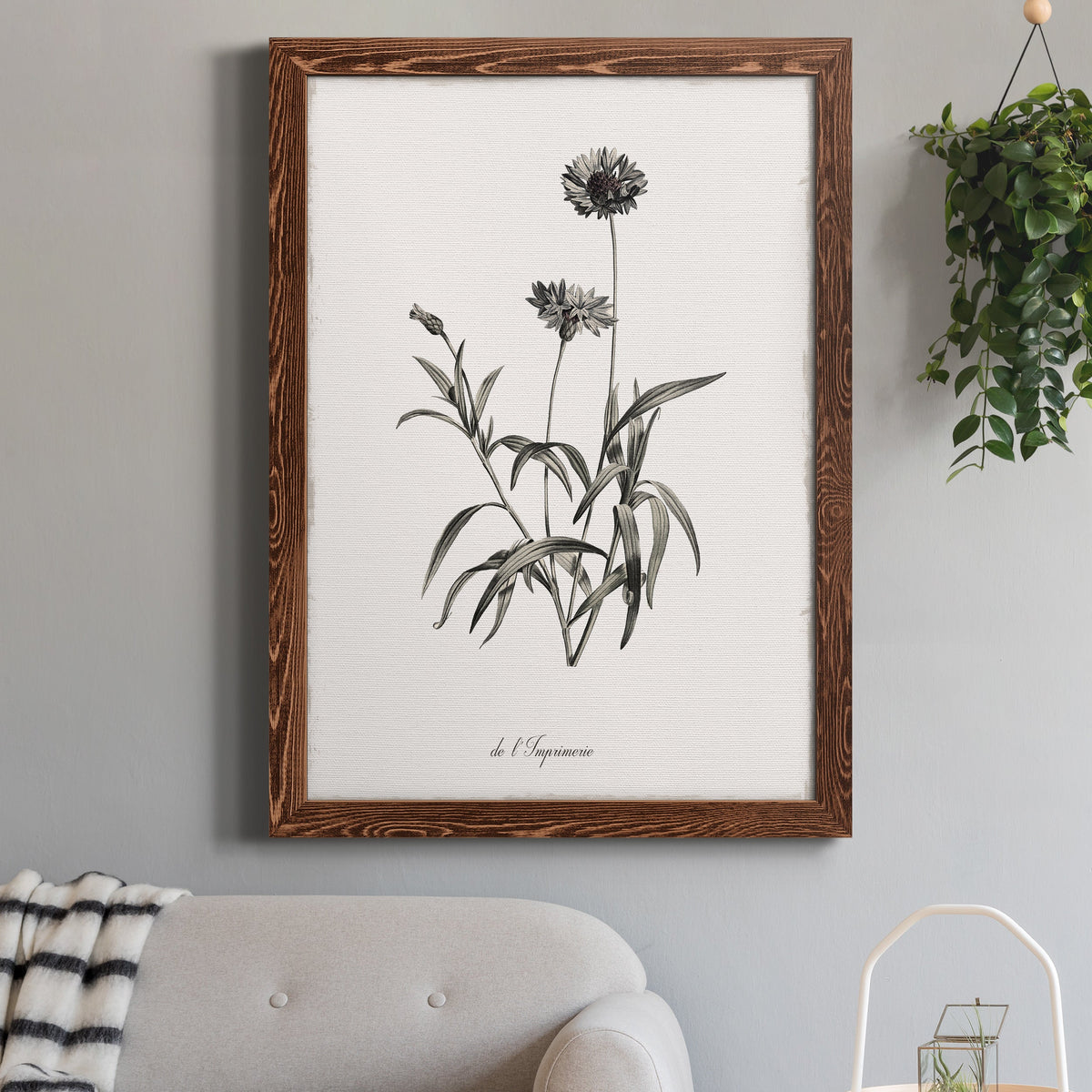 Sketchbook Imperial - Barnwood Framed Canvas Print