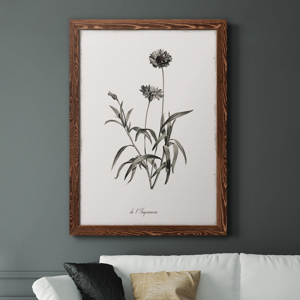 Sketchbook Imperial - Barnwood Framed Canvas Print