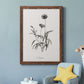 Sketchbook Imperial - Barnwood Framed Canvas Print