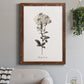 Sketchbook Leadwort - Barnwood Framed Canvas Print