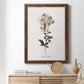 Sketchbook Leadwort - Barnwood Framed Canvas Print