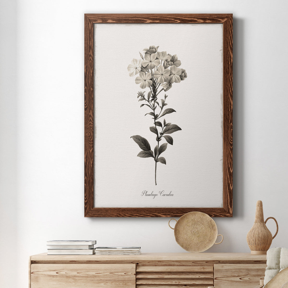 Sketchbook Leadwort - Barnwood Framed Canvas Print
