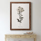 Sketchbook Leadwort - Barnwood Framed Canvas Print