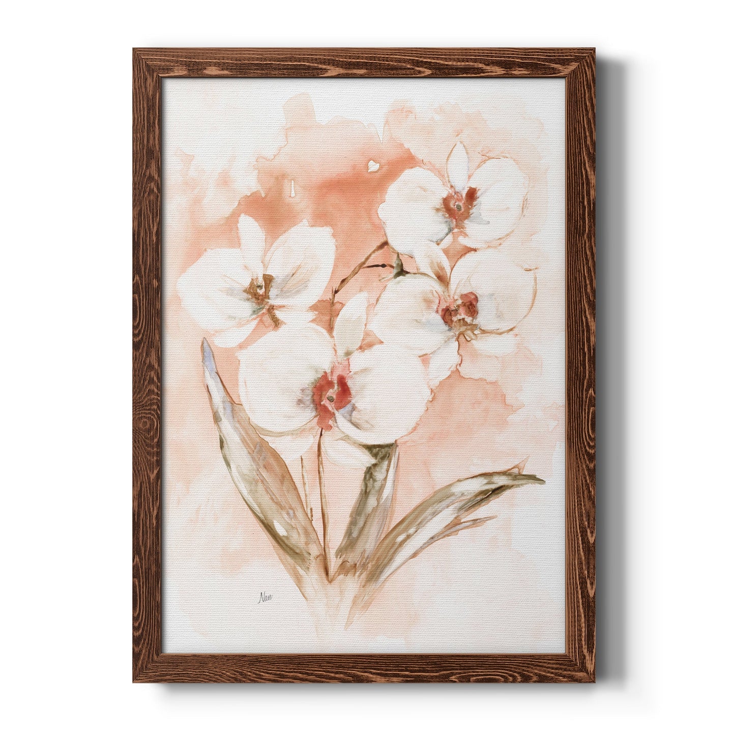 White and Coral Orchid I - Barnwood Framed Canvas Print