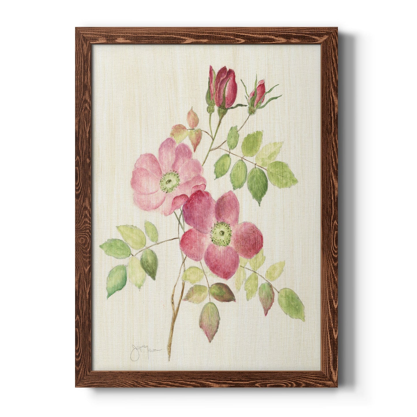 Dusty Rose I - Barnwood Framed Canvas Print