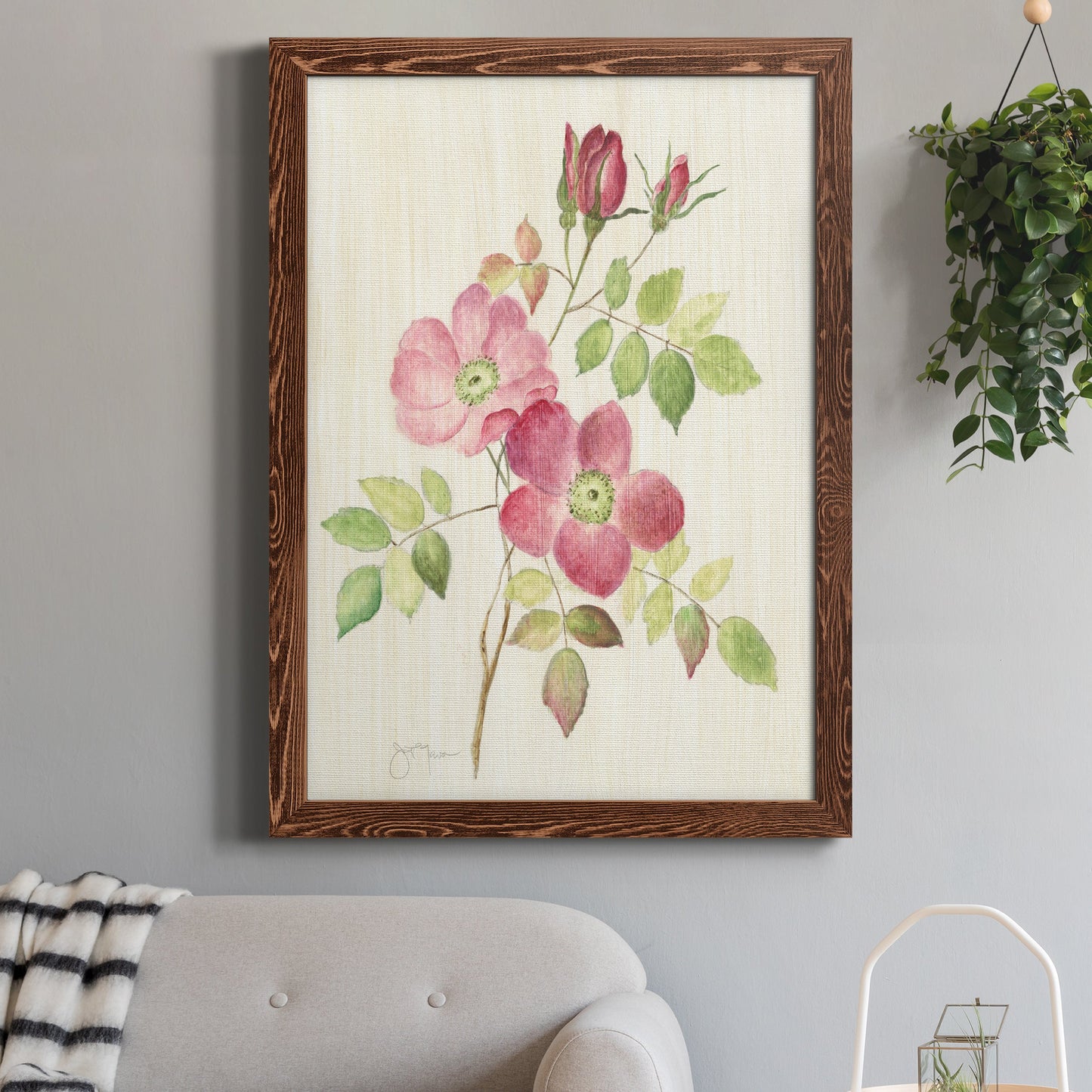 Dusty Rose I - Barnwood Framed Canvas Print