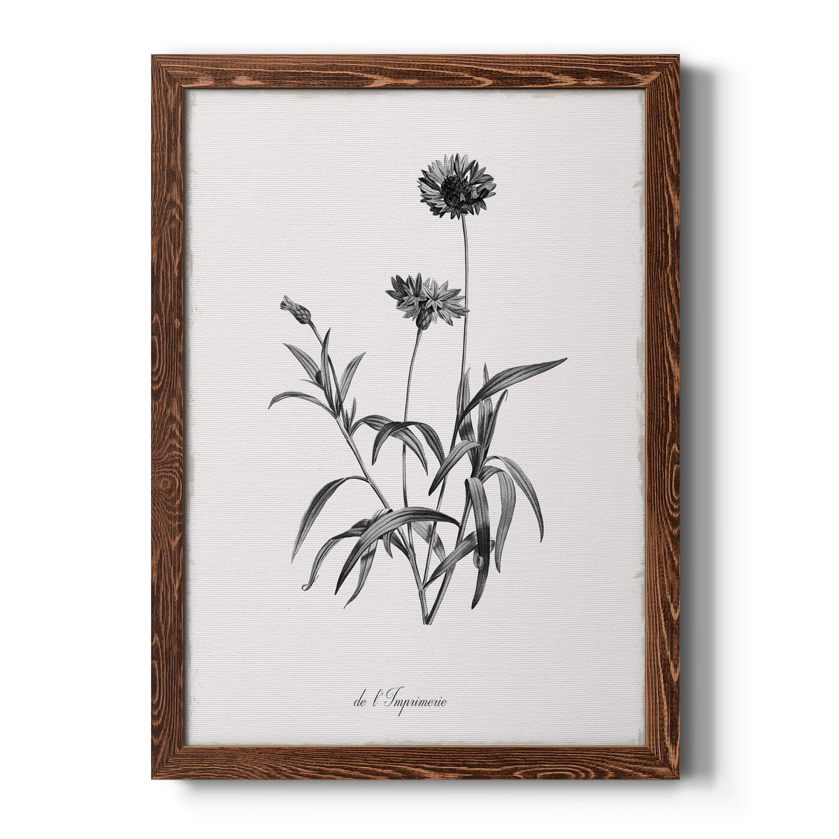 Simply Imperial - Barnwood Framed Canvas Print
