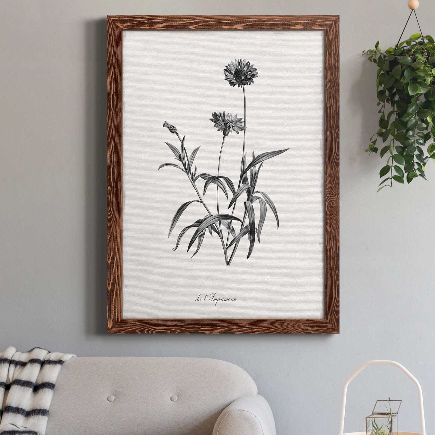 Simply Imperial - Barnwood Framed Canvas Print