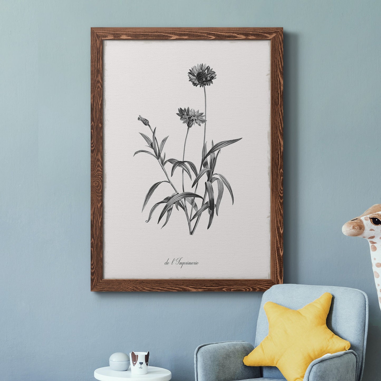 Simply Imperial - Barnwood Framed Canvas Print