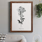 Simply Cape Leadwort - Barnwood Framed Canvas Print