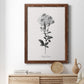 Simply Cape Leadwort - Barnwood Framed Canvas Print