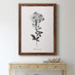 Simply Cape Leadwort - Barnwood Framed Canvas Print