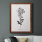 Simply Cape Leadwort - Barnwood Framed Canvas Print