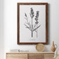 Simply Lavender - Barnwood Framed Canvas Print