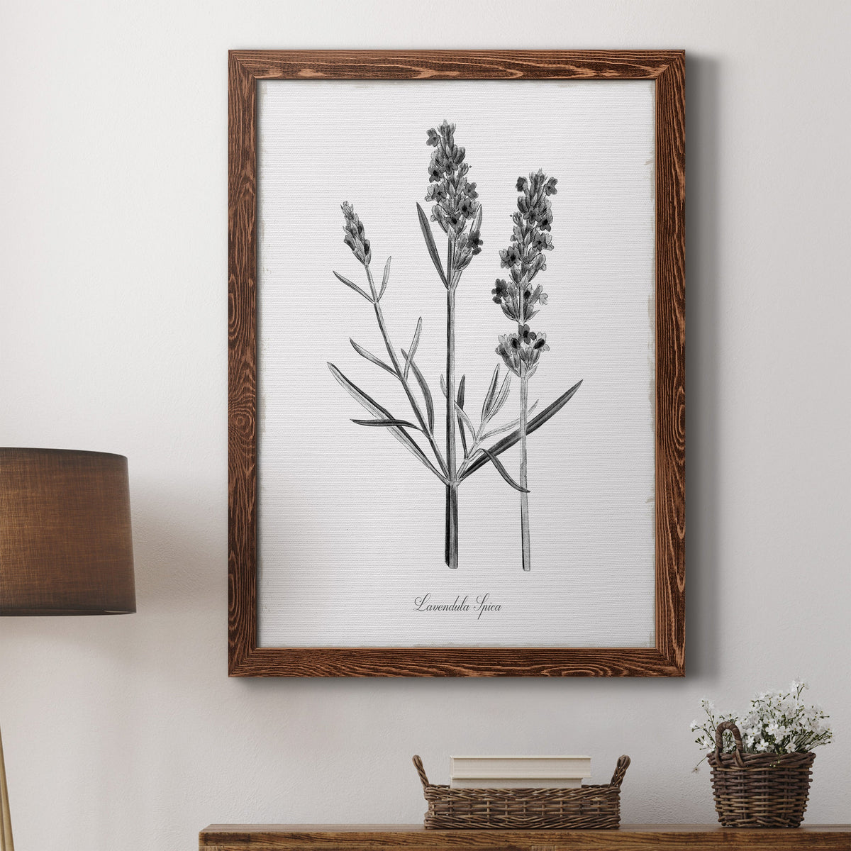 Simply Lavender - Barnwood Framed Canvas Print