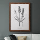 Simply Lavender - Barnwood Framed Canvas Print
