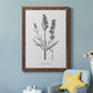 Simply Lavender - Barnwood Framed Canvas Print