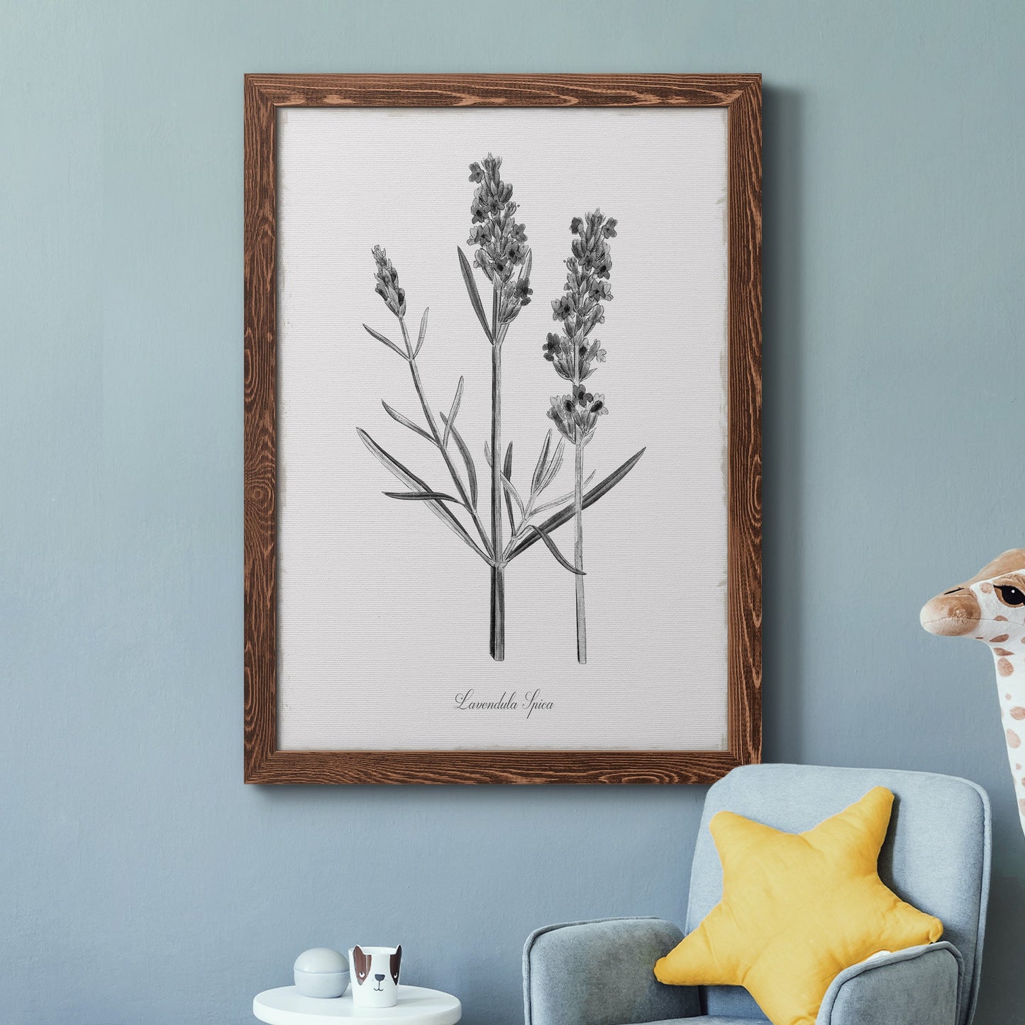 Simply Lavender - Barnwood Framed Canvas Print