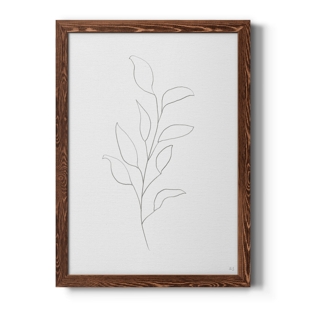Botanical Gesture VI - Barnwood Framed Canvas Print