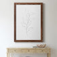 Botanical Gesture VI - Barnwood Framed Canvas Print