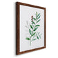 Freshly Picked III - Barnwood Framed Canvas Print