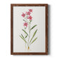 Delicate Pink II - Barnwood Framed Canvas Print