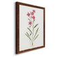 Delicate Pink II - Barnwood Framed Canvas Print