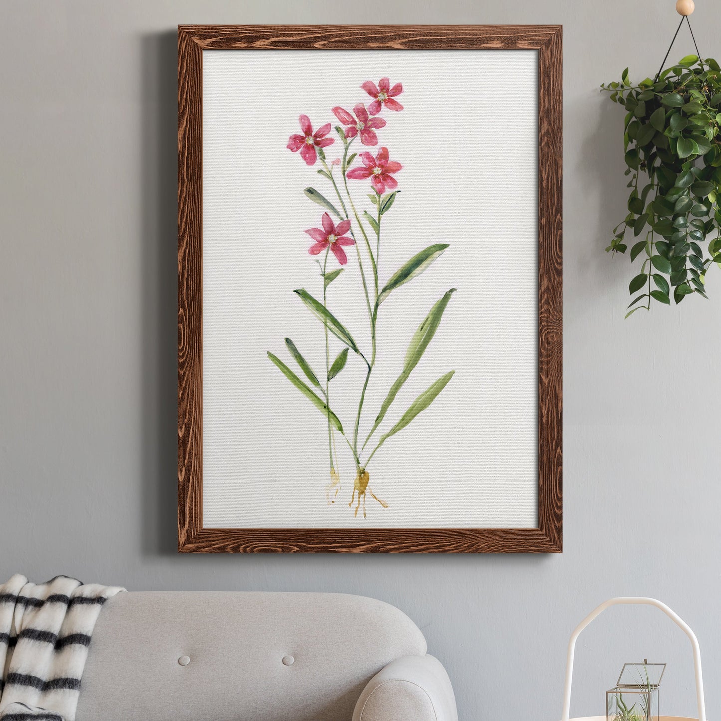 Delicate Pink II - Barnwood Framed Canvas Print