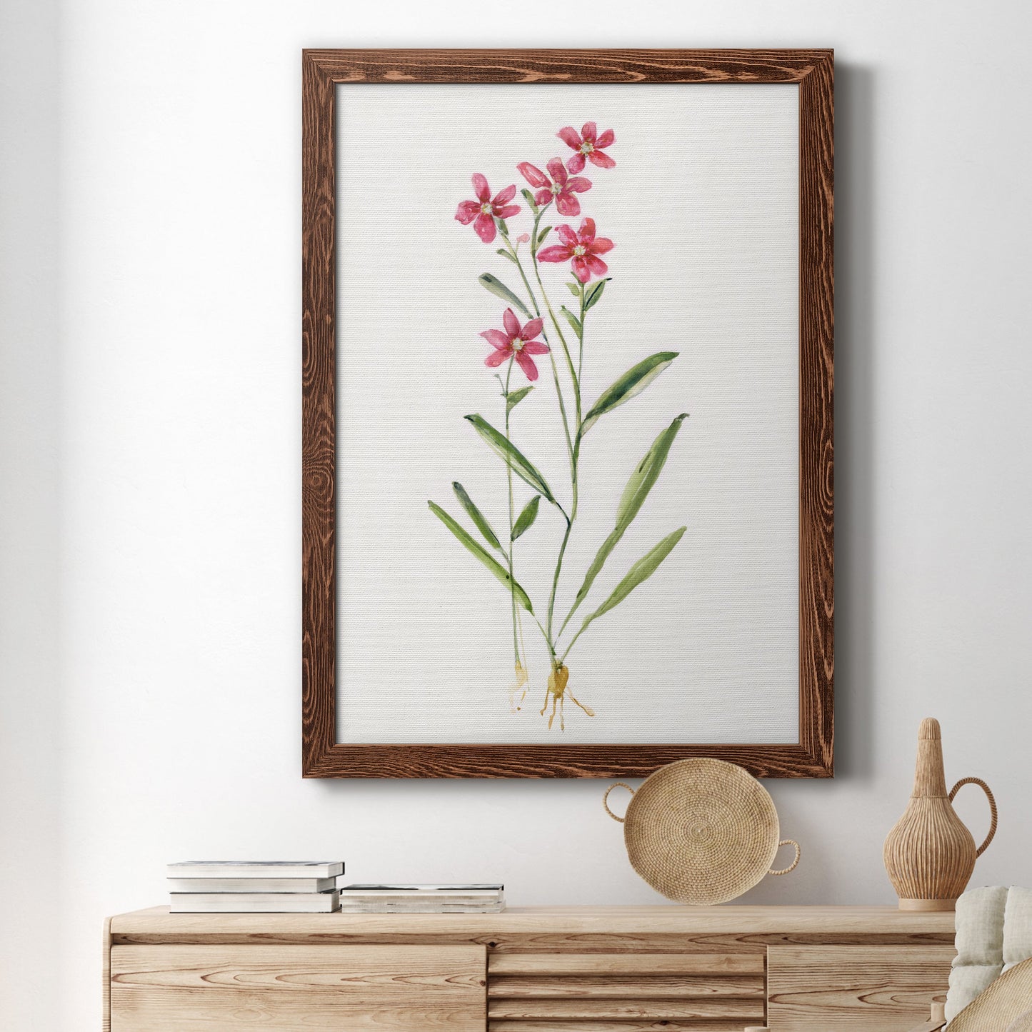 Delicate Pink II - Barnwood Framed Canvas Print