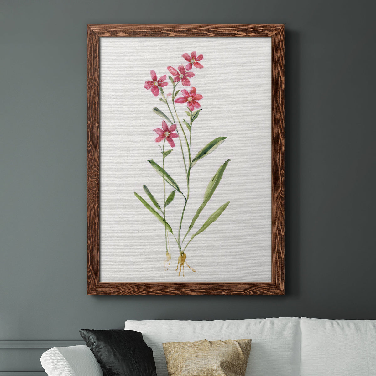 Delicate Pink II - Barnwood Framed Canvas Print